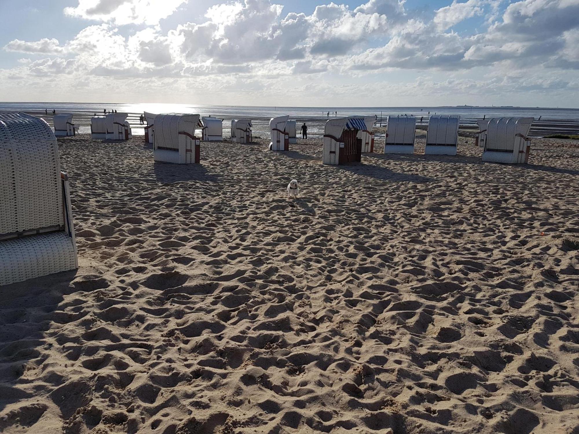 Apartamento Watt & Wind - Tolles Schwimmbad Cuxhaven Exterior foto